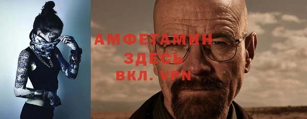 PSILOCYBIN Кулебаки