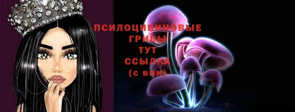 PSILOCYBIN Кулебаки