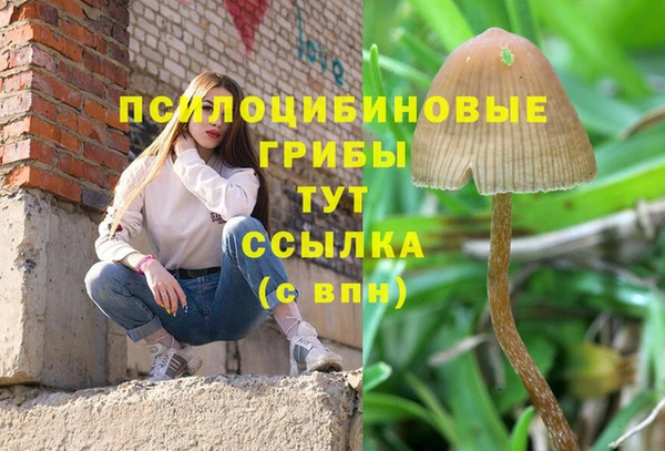 не бодяженный Куйбышев