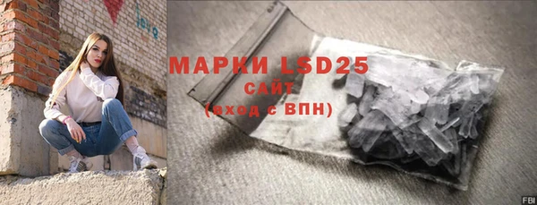 PSILOCYBIN Кулебаки