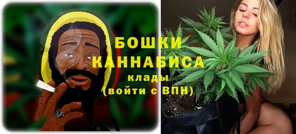 PSILOCYBIN Кулебаки