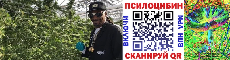 Псилоцибиновые грибы прущие грибы  Купить где  Бакал 